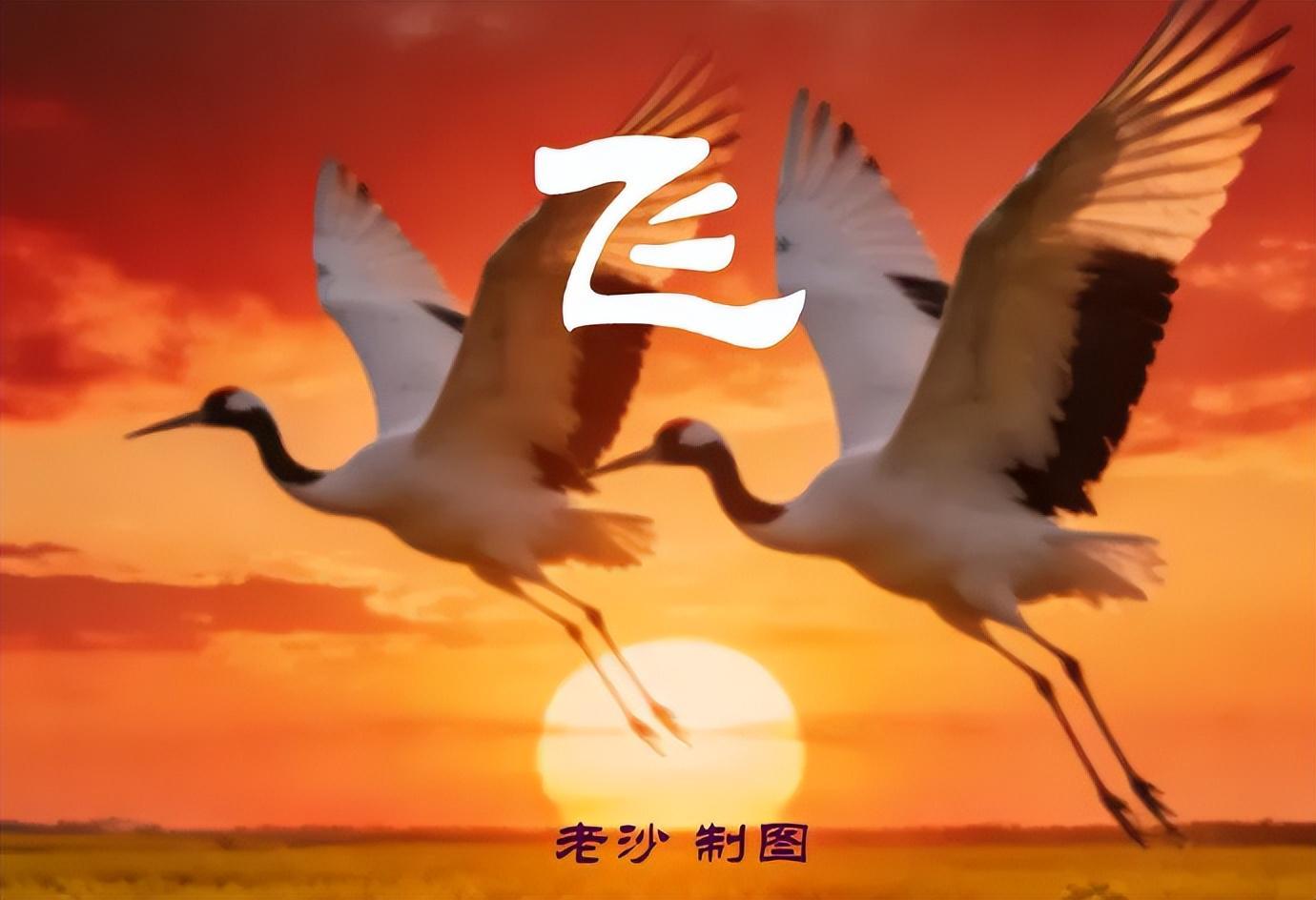 4.28股市早8点丨英伟达疯了谷歌飙了